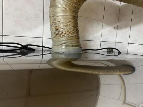 許小姐 - 清潔後