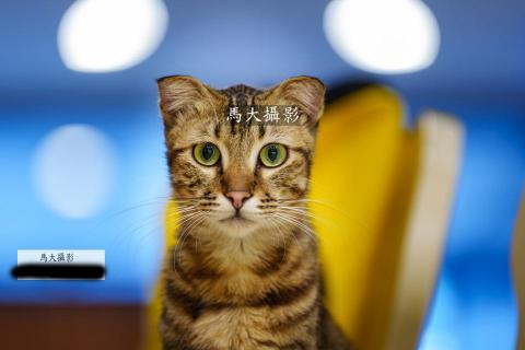 馬大攝影 - 