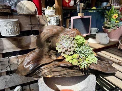 亞歌花藝材料商行/陳瀚章 - 