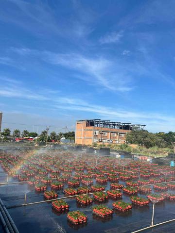 提供富里花園服務的專家勁翔