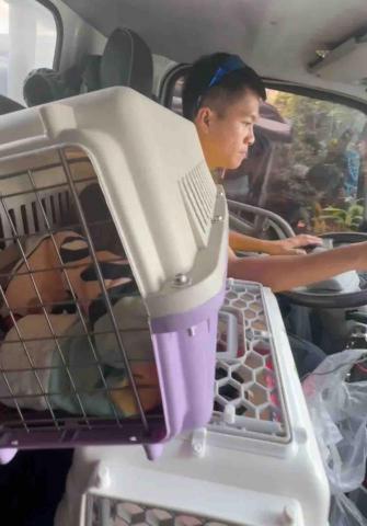 送.搬.包裝貨。托運器械李先生 - 搬家順便幫忙載寵物。