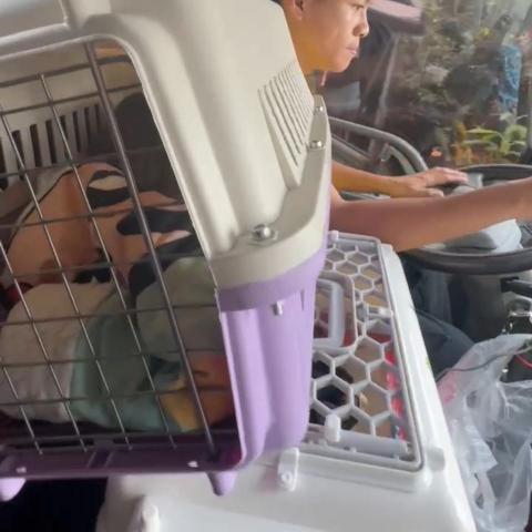 送.搬.包裝貨。托運器械李先生