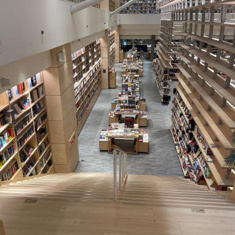 提供滅鼠服務的專家Notth