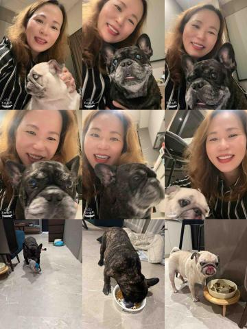 賴秀珊 - 真開心又接到了我熱愛的工作
可以盡情的嚕狗12天
這次的主角是:便當&貝果
便當:看似憨憨的,但眼神充滿古靈精怪
             愛我幫忙按摩勝過你丟我撿的遊戲
貝果:害羞的小女生,要抱抱才有呼嚕聲
希望在這12天,他們能開開心心,享受我的服務和陪伴,記得能跟他們爸爸說,姨姨好棒棒。要給五星好評喔???? 賴秀珊 - 真開心又接到了我熱愛的工作
可以盡情的嚕狗12天
這次的主角是:便當&貝果
便當:看似憨憨的,但眼神充滿古靈精怪
             愛我幫忙按摩勝過你丟我撿的遊戲
貝果:害羞的小女生,要抱抱才有呼嚕聲
希望在這12天,他們能開開心心,享受我的服務和陪伴,記得能跟他們爸爸說,姨姨好棒棒。要給五星好評喔????