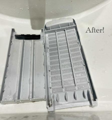 林詩叡 - 過濾網 清洗後 (比照圖）