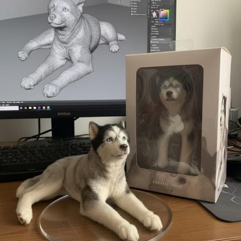 提供花蓮縣服務的專家林翊凱