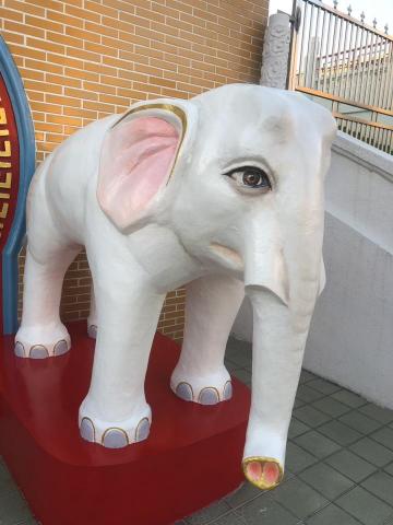 山珍海味工作室 - 