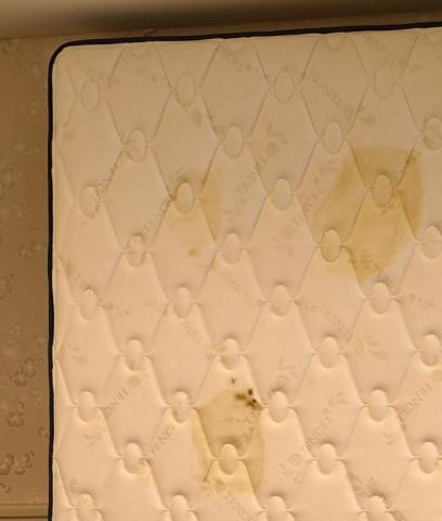 除蟎蟎床墊沙發清潔專家 - 