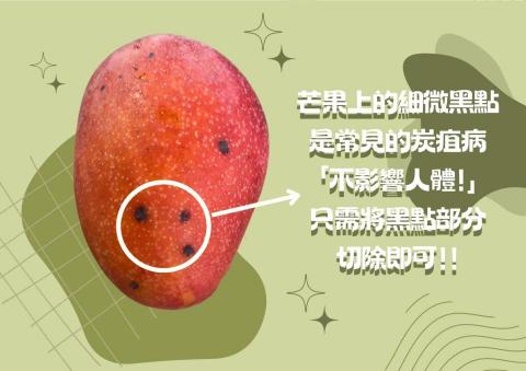 Star - 芒果網站海報平面設計
