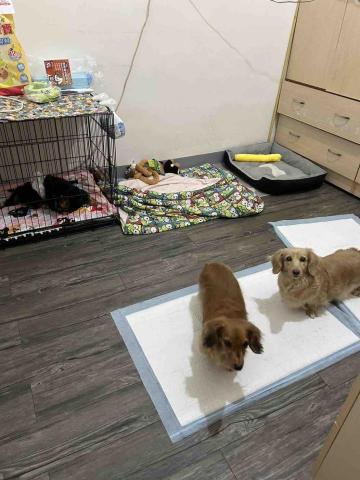 周可晨 - 整理環境後舒適乾爽