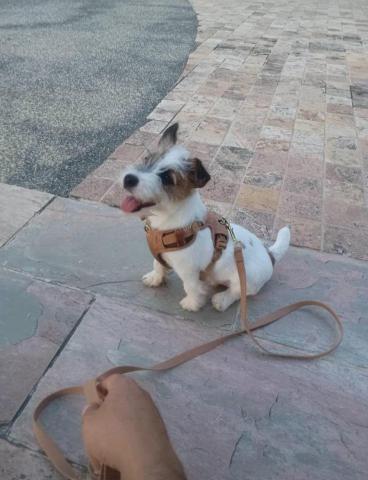 錦澤清潔社 - > 你的毛孩不是膽小，他只是「水重」。 
> 你的毛孩不是貪吃，他只是「土旺」。 
> 你的毛孩不是難搞，他只是「火盛」。 
> 
> 用五行養毛孩，你會發現&mdash;&mdash; 
> 他不只是寵物，他是你的命運鏡子。