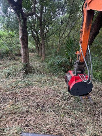 👑皇喬園藝《樹木修剪、伐木整地》 - 碎木碎草