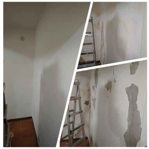 處之泰然 - 套房漆面修繕