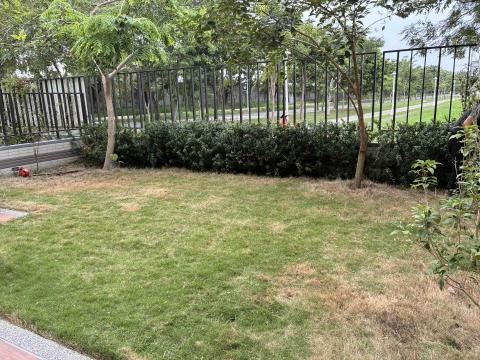 伍栩漢 - 小庭院雜草人工拔除整理、樹木疏枝