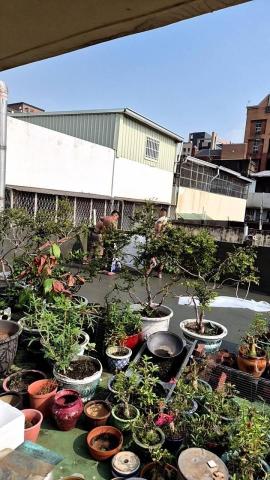 合旺工程行 - 5樓頂防水工程