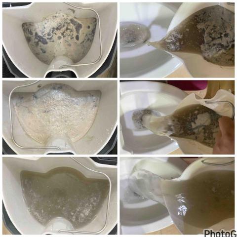 小蔡ㄟ技術清潔工作室（水洗沙發、床墊） - 還在跟塵蟎同床嗎？這些都是在床上可怕的塵蟎，讓皮膚過敏，鼻子過敏的來源