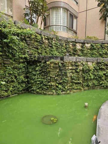 ¥道臨天下¥《環境居家清潔》「服務社」 - 魚池除草