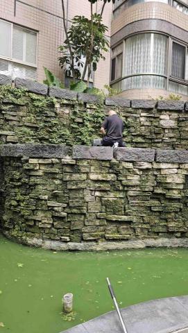 ¥道臨天下¥《環境居家清潔》「服務社」 - 除草過程