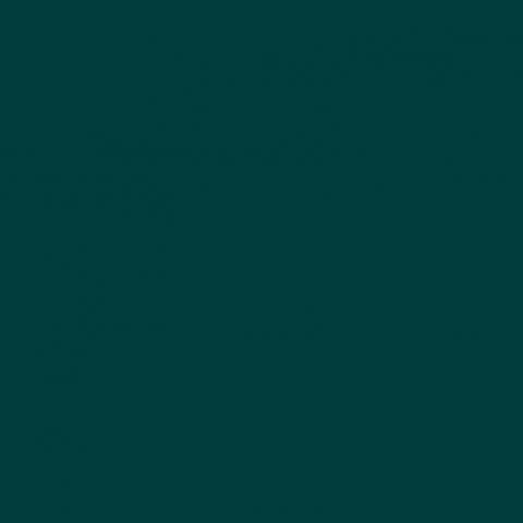 提供183服務的專家0214謝奕安