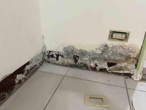 啟紘工程行 - 壁癌修繕