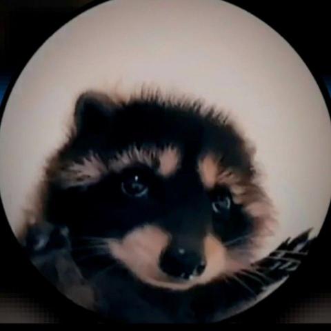 提供54服務的專家Ruby Liao