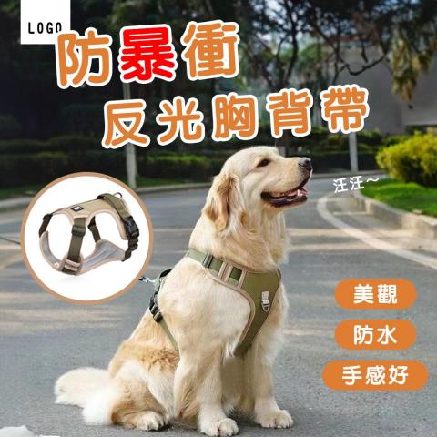 Natalie An - 蝦皮商品圖