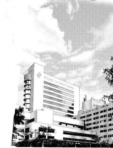 邱嬄文 - 漫畫背景