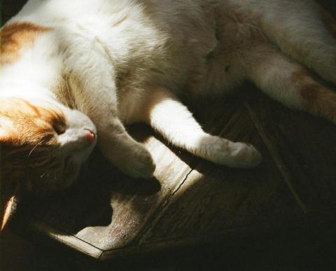 古文個人攝影工作坊 - 