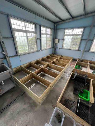 宇雲裝潢工程行 - 南方松