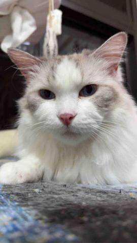 提供公館3c服務的專家康艾斯