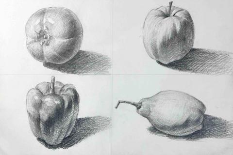 周鑫辰 - 素描示範