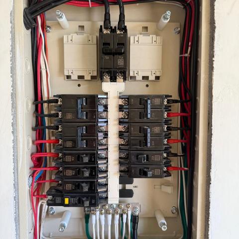 提供玫瑰城服務的專家溫城毅