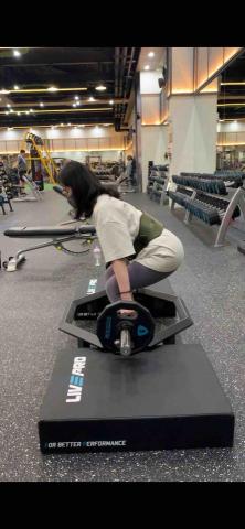 有養貓肌力與體能 - 