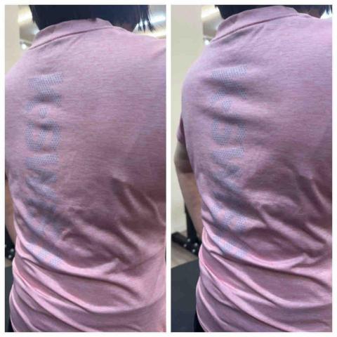 有養貓肌力與體能 - 