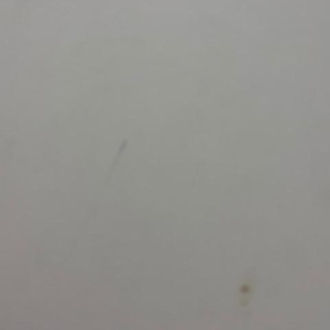 提供toefl服務的專家英文