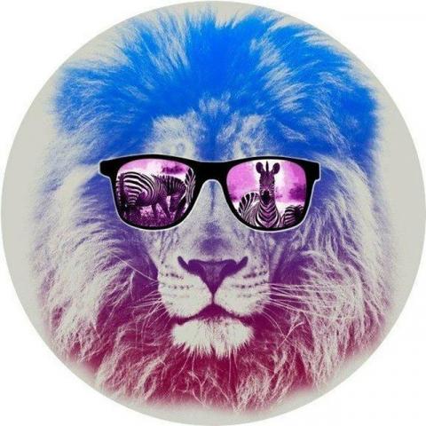 提供回收站near me服務的專家Lyan Jin