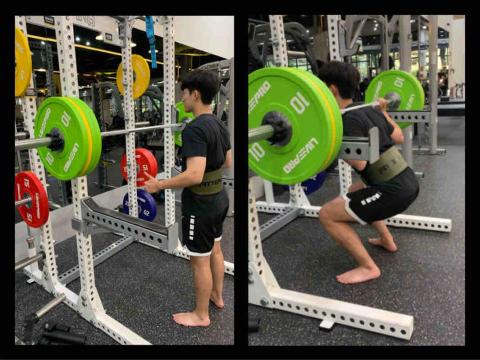 有養貓肌力與體能 - 