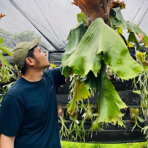 提供加班勞基法服務的專家Jeff