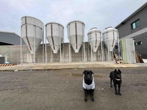 羅東整體衛浴廠商推薦玉璋企業