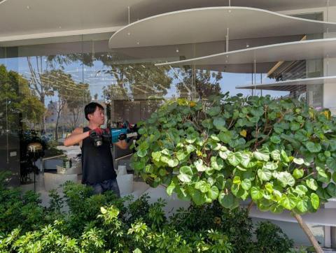 陳科敬 - 樹木修剪、造型