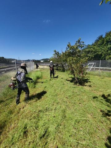 🪽森羽園藝 - 除草施作