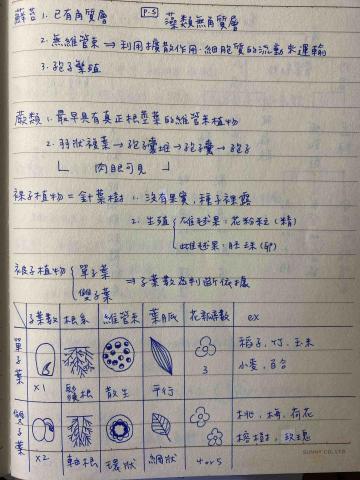 陳彥竹 - 國中會考生物筆記