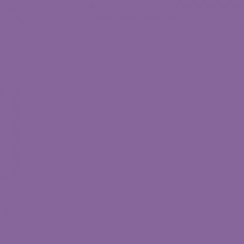 提供日本動畫服務的專家姚婕希