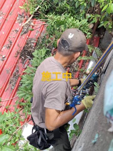 力友園藝造景 - 牆角雀榕移除