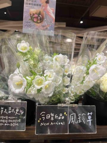 Velvet spa療癒 精油販售