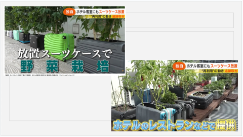 林采妮 - 課堂會以新聞時事作為補充