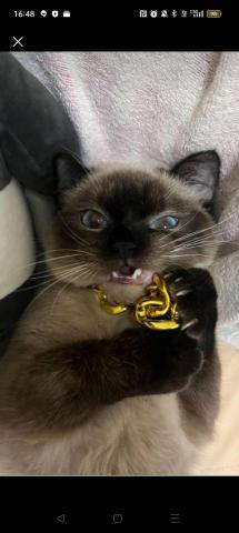 各行各業協助。