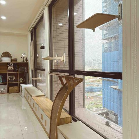 香波居Cat BnC 新北合法貓旅館 - 飄窗貓咪跳臺區