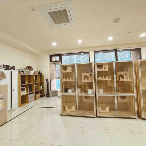 香波居Cat BnC 新北合法貓旅館 - 標準房