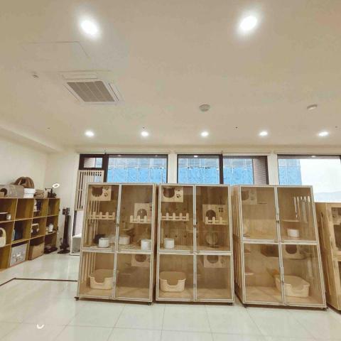 香波居Cat BnC 新北合法貓旅館 - 標準大貓櫃